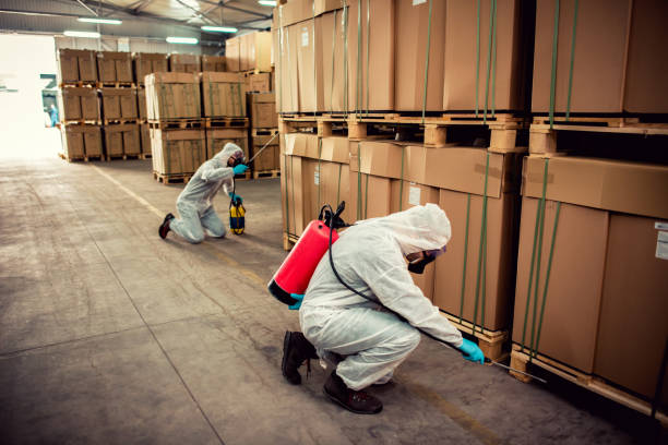 Professional Pest Control in Sebewaing, MI