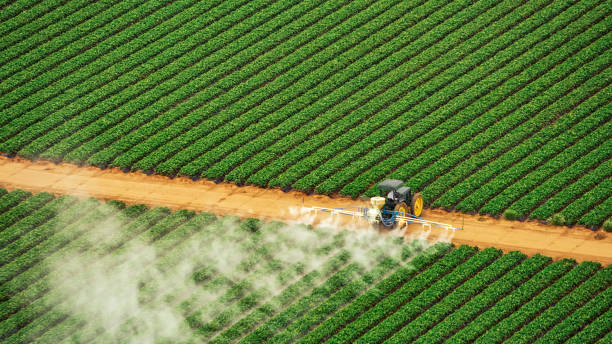 Best Mosquito Control Services  in Sebewaing, MI