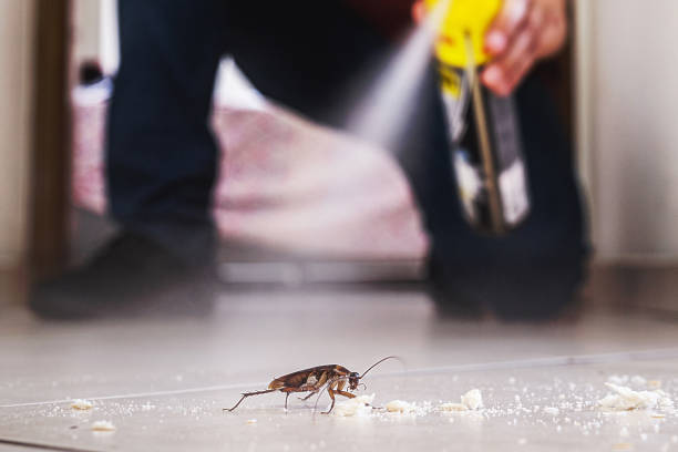 Best Affordable Pest Control Services  in Sebewaing, MI