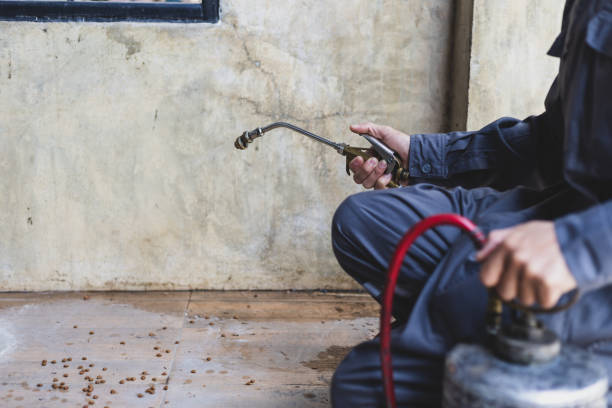 Best Flea Control Services  in Sebewaing, MI